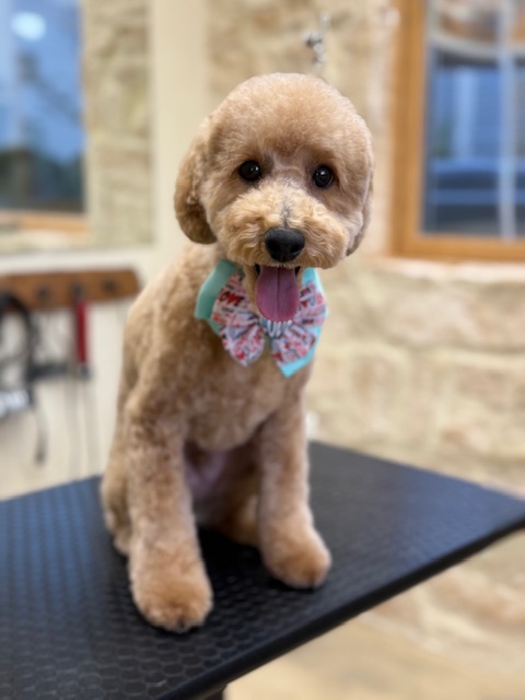 無垢材と左官壁の空間に似合う、やわらかく上質なトリミング